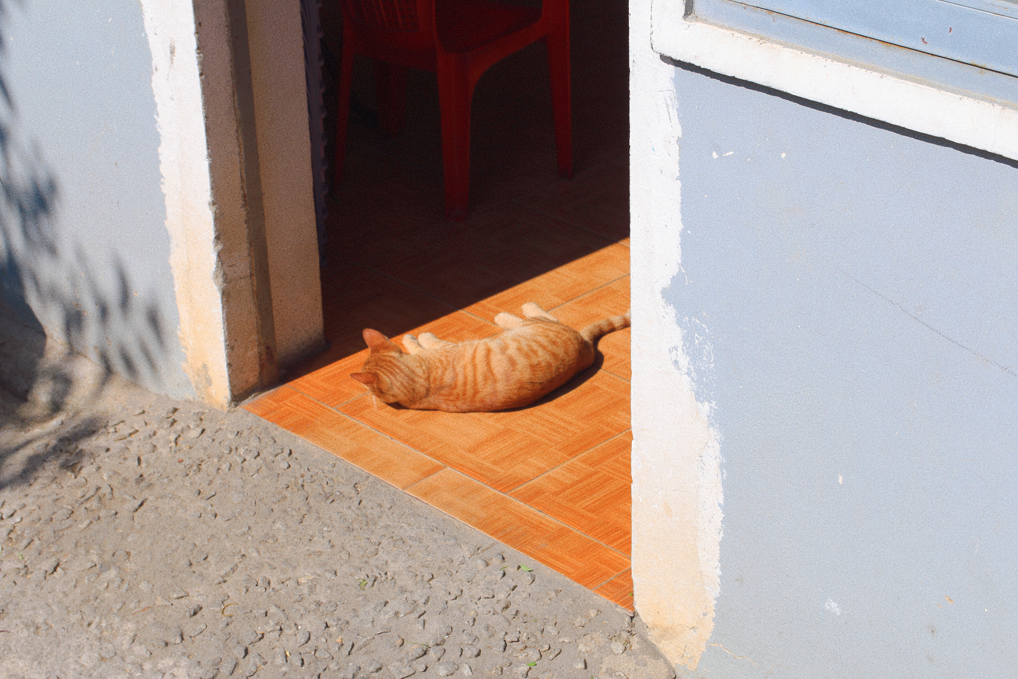 AI 提示词工程（Prompt Engineering）终极指南：从零到大师